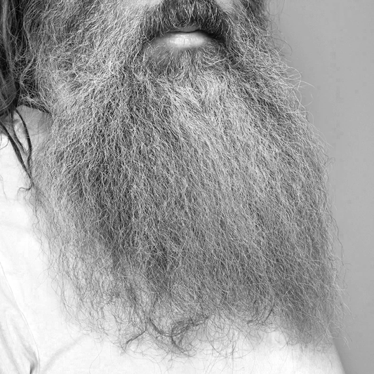 rick rubin's beard