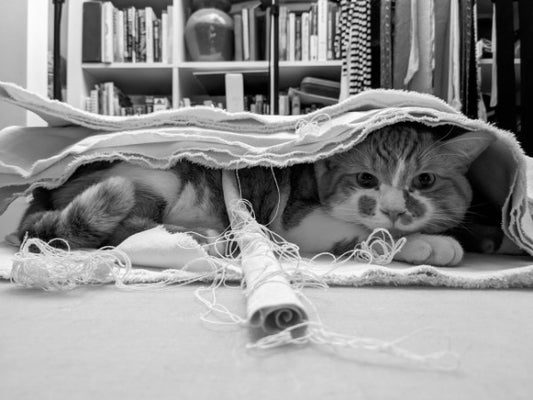 change gears without grieving (like the cat) / an artist’s nonlinear manifest-o for the new decade