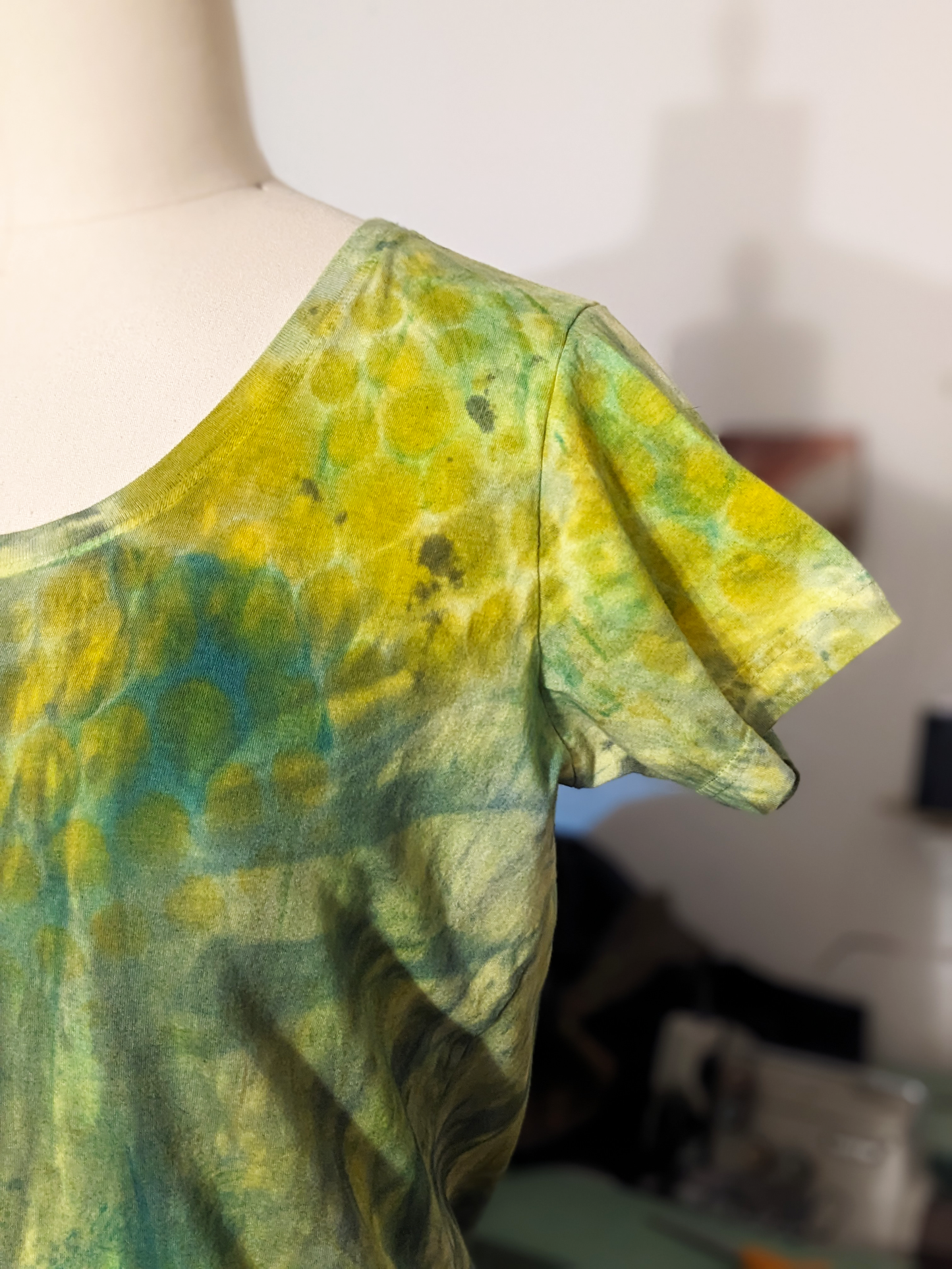 Hand painted t-shirt from secret lentil