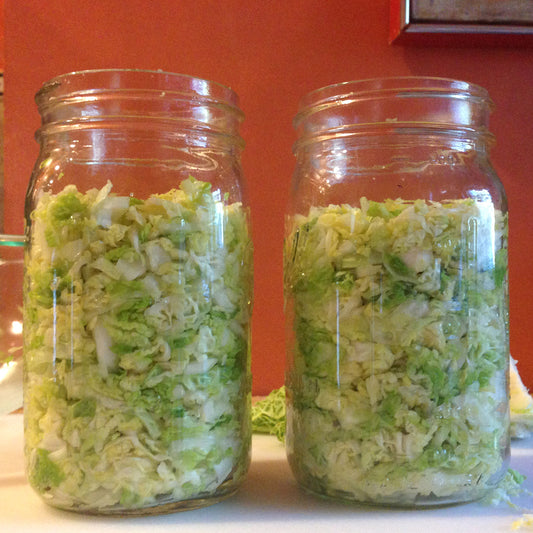 sauerkraut, day one, from secret lentil